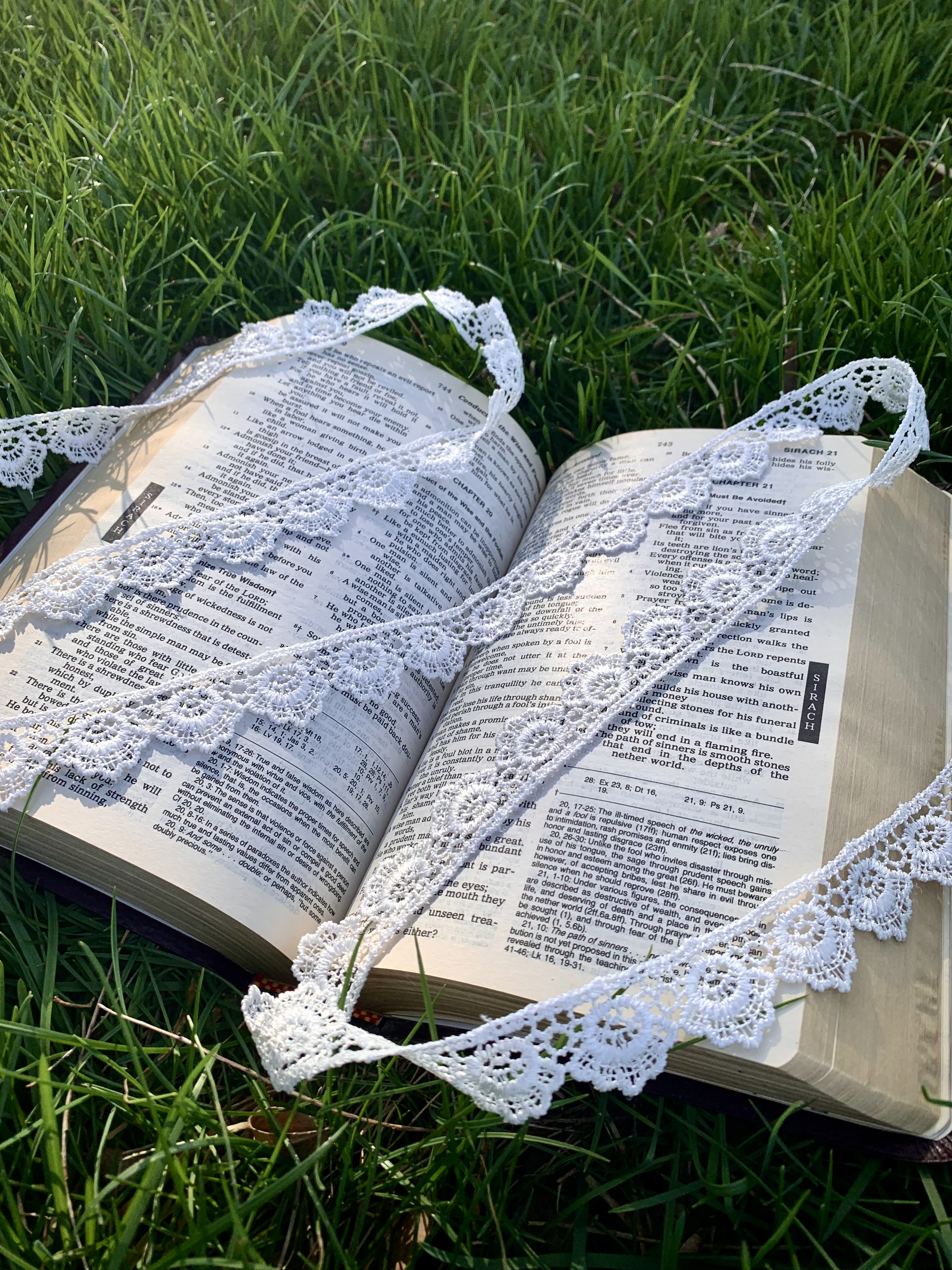 A picture of the bible outside.